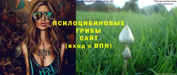 ешки Белокуриха